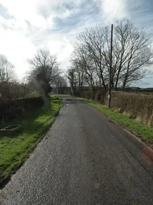 an empty road with trees on the side of it at Borrowmoss Bothy, Charming & Characterful property, Wigtown in Wigtown