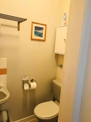 a small bathroom with a toilet and a sink at Argyll House Pennyghael in Salen