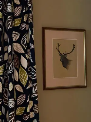a picture of a deer head on a wall at Tigh na Breac - Great Outdoor Activity Location Oban in Bonawe