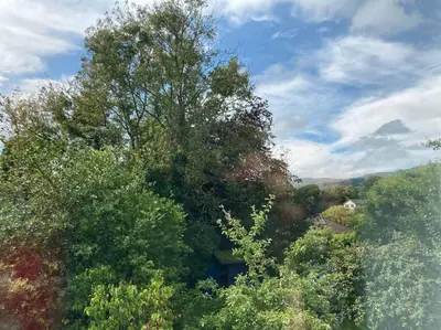 a large tree in the middle of a forest at Keppochhill - Beautiful Home with Hot Tub in Banton