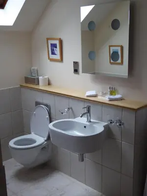 a bathroom with a toilet and a sink and a mirror at Craigruie Farmhouse in Balquhidder