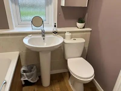 a bathroom with a sink and a toilet and a mirror at Burns House in Livingston