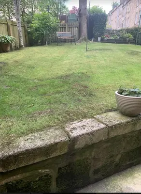 a bowl sitting on a stone wall in a yard at airport appartment in Paisley