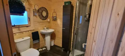 a bathroom with a toilet and a sink and a shower at 2 bed Lodge near Dunoon on the Shore Front in Dunoon