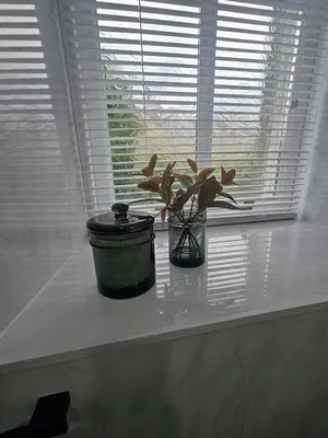 a plant in a vase sitting on a window sill at Glebe Apartment in Campbeltown