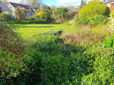 a yard with a field of grass and bushes at THE ELFIN- Lovely 1 Bedroom - Free Parking in Bridge of Allan