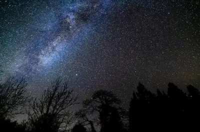 a starry sky with trees in the foreground at Newton Stewart - Lodge - Sleeps 4 - Garden in Bargrennan