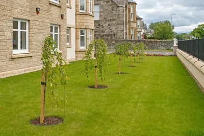 a row of trees in a lawn in front of a building at Troon No 1 Apartments in Troon