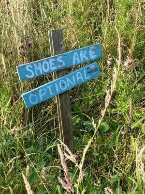 a blue street sign sitting in the grass at Wee Beach Hut Maidens in Maidens