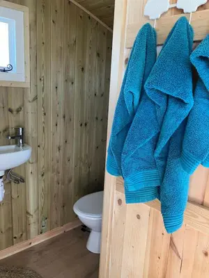 a bathroom with blue towels hanging on the wall at Wee Beach Hut Maidens in Maidens