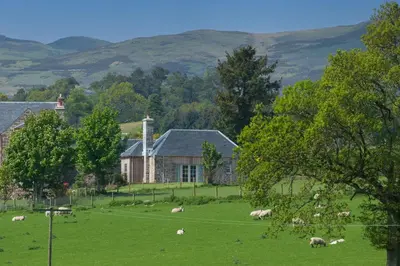 a herd of sheep grazing in a field in front of a house at The Bothy in Buchanty