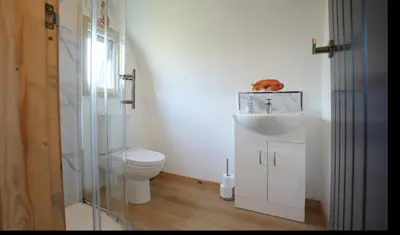 a white bathroom with a toilet and a sink at The Galloway Steading - The Fox's Den with Hot Tub and Fire Pit in Glenluce