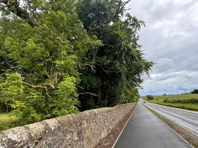 a road with a stone wall and trees on it at Green Oak Nature Retreat in Dunfermline