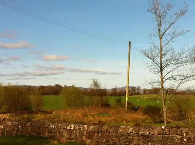 a field with a tree and a stone wall at Crosskeys Cottage in Shandon