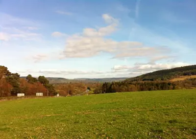 a field of green grass with a road in the distance at Crosskeys Cottage in Shandon