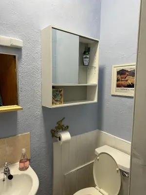 a bathroom with a toilet and a sink at Central Room In Historic Tenement Shared Apartment Near Old Town in Edinburgh
