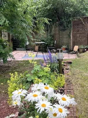 a bunch of white flowers in a garden at House in Drymen Village with free local health club access in Glasgow