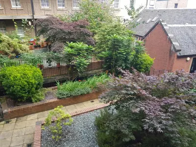 an overhead view of a garden with plants and trees at 223 Websters land - stunning castle view in Edinburgh