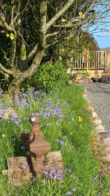 a garden with purple flowers and a stone wall at The Fells - Campsie Luxury Pods with hot tub in Glasgow