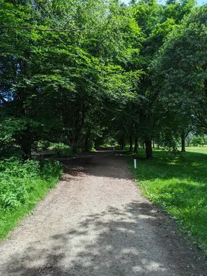 a dirt road with trees in a park at Spacious 4 Bedroom Flat in Stirling in Stirling