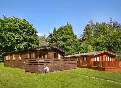 a couple of log homes in a grassy field at Lomond View Lodge in Glasgow