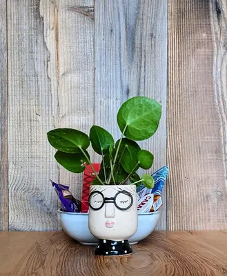 a potted plant with glasses sitting on a table at Otter Burn Cabin in Oban