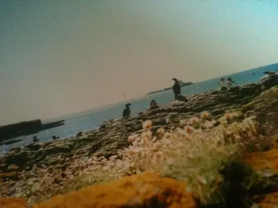 a group of people standing on a beach near the ocean at Little cottage-Village of Bunessan-Sleeps4 in Bunessan