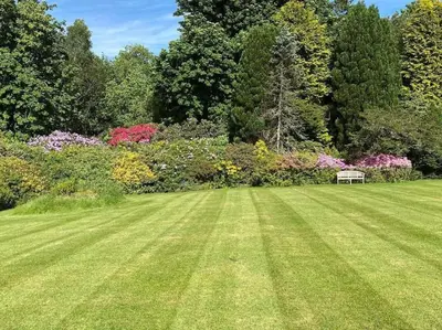 a park with a bench in the middle of a field at Country Home on Private Estate in Minishant