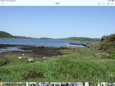 two animals grazing in a field next to a body of water at Cottage-IsleofMull-StunningViews-WiFi-Parking in Bunessan