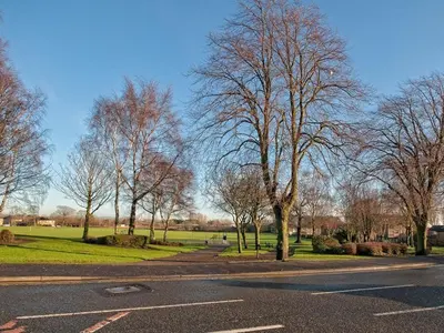 an empty street with trees on the side of the road at Craignish Apartments in Falkirk