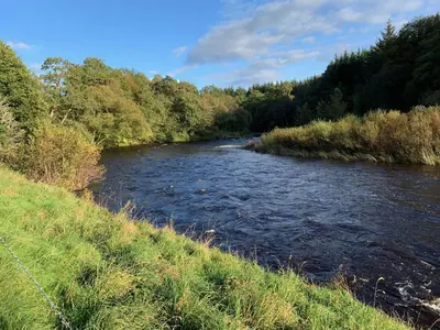 a river next to a field with trees and grass at Ryehill with Fishing in Sanquhar