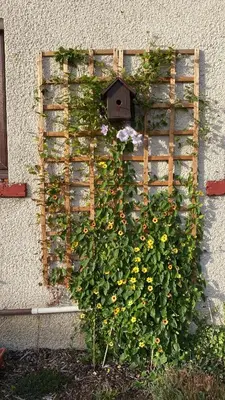 a wooden fence with flowers and a bird house at Frans Place in Edinburgh