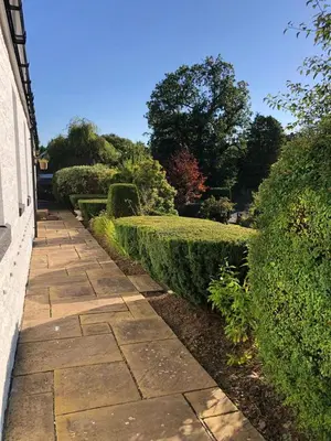 a garden with a stone pathway and bushes at Rosebank Cottage - Hot Tub & Log Stove in Alexandria