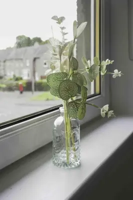 a glass vase with flowers sitting on a window sill at Cochran House in Bathgate