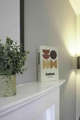 a box sitting on a shelf next to a plant at Scotia House in Larkhall