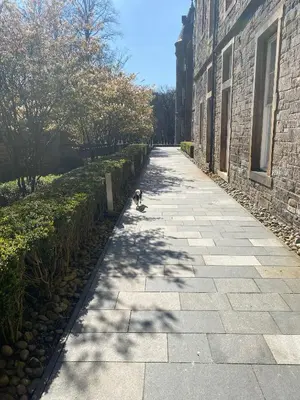 a dog walking down a sidewalk next to a building at Stunning park view Quartermile apartment close proximity to Castle University in Edinburgh