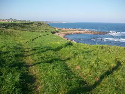 a field of grass next to the ocean at Carnegie Holiday Cottage in Dunfermline