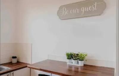 a kitchen with potted plants on a counter at Glasgow City 1 Bedroom Apartment in Glasgow