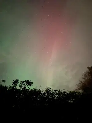 an aurora in the sky with trees in the foreground at Pod at Lonan drive in Oban