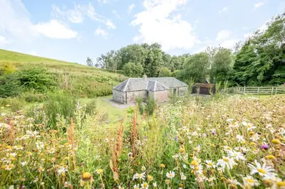 a field of flowers in front of a barn at Burnside - gorgeous romantic cottage for 2 in Monzie