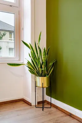 a plant sitting on a stand next to a window at Newly Furnished Flat 4 Minutes Walk To Metro in Glasgow