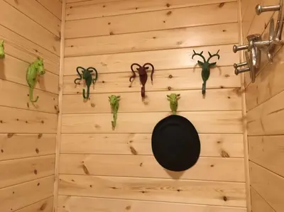 a wall with a bunch of antlers on it at Teaghlach Luxury Lodge with hot tub Balquhidder Mhor Lodges in Lochearnhead
