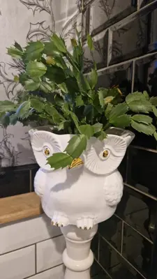 a white vase with a potted plant in it at 175 On Clyde - Spacious & Cosy Cedar Wood Bungalow in Helensburgh