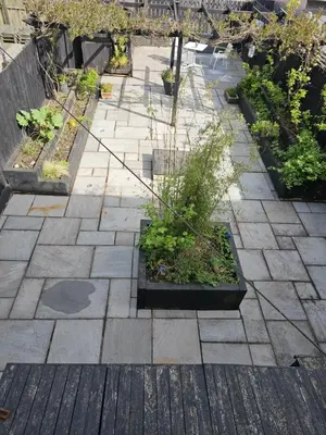 a patio with some plants in a garden at Garden homely house in Cardonald