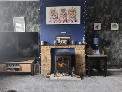 a living room with a fireplace and a tv at Gadsby manor in Drumchapel