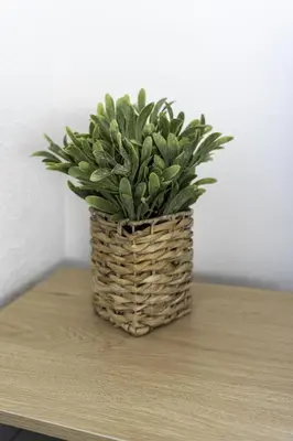 a plant in a basket sitting on a table at Dunbank Apartment in Clydebank
