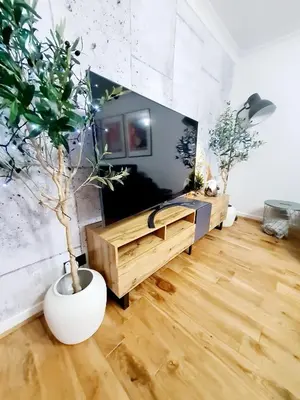 a living room with a potted plant and a tv at Bright 3BR walking distance to town - FREE parking in Glasgow