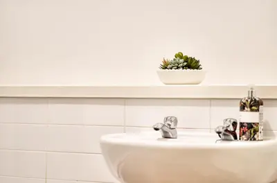 a white bathroom sink with a plant on a shelf at 2BR Flat Central Location with Free Parking in Glasgow