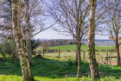 a group of trees in a field with a fence at 1 Bed in Methven oc-v30533 in Methven