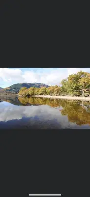 a view of a body of water with trees at Lomond Lodge Rowardennnan in Rowardennan